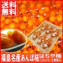 【送料無料】 福島名産 はちや柿のあんぽ柿 (230g×6)