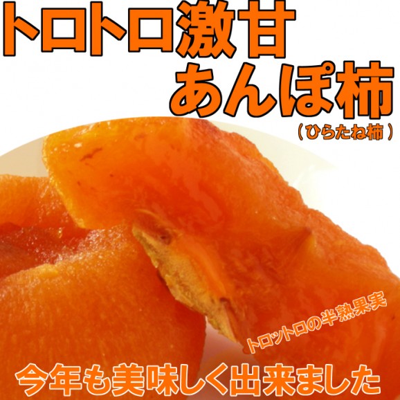 「かわいい～！」 送料無料】 福島名産 日本全国 (200g×3) ひらたね柿のあんぽ柿 その他 加工食品