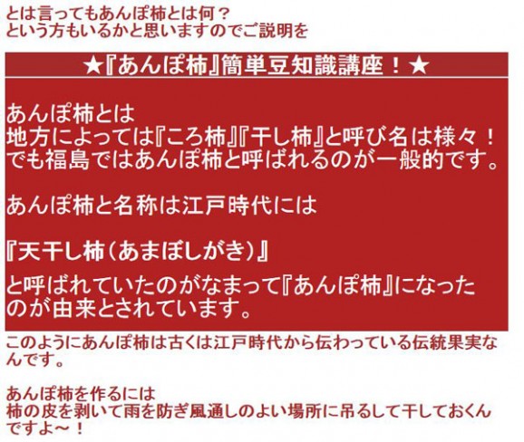 【送料無料】 福島名産 ひらたね柿のあんぽ柿 (200g×4) | 日本全国各地のお取り寄せモール風土jp