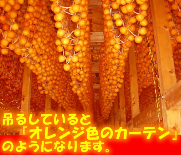 【送料無料】 福島名産 ひらたね柿のあんぽ柿 (200g×4) | 日本全国各地のお取り寄せモール風土jp