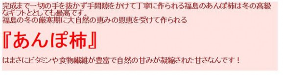 【送料無料】 福島名産 ひらたね柿のあんぽ柿 (200g×4) | 日本全国各地のお取り寄せモール風土jp