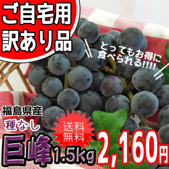 【送料無料】【訳あり】福島県産 巨峰(種なし)【発送時期:9月初旬〜10月中旬頃まで予定】 | 日本全国各地のお取り寄せモール風土jp
