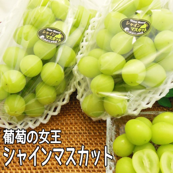 ʡ縩㥤ޥåȡ2˼(700g | ϤΤ󤻥⡼jp