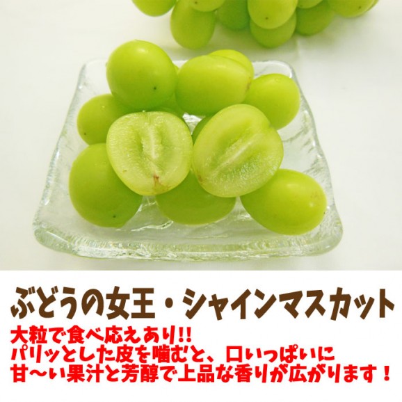 ʡ縩㥤ޥåȡ2˼(700g | ϤΤ󤻥⡼jp