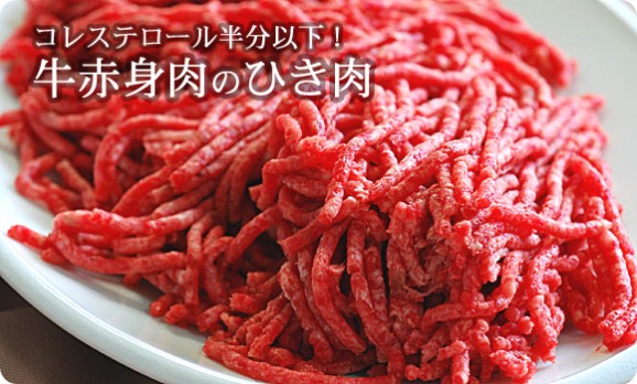 ̳ƻ۵ֿΤҤ300g  | ϤΤ󤻥⡼jp