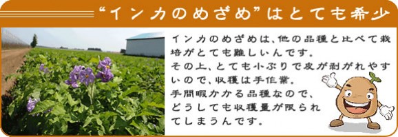 レンジでチンするだけ♪北海道十勝産【冷凍】インカのめざめ★調理済み★ | 日本全国各地のお取り寄せモール風土jp