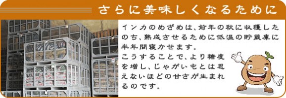 レンジでチンするだけ♪北海道十勝産【冷凍】インカのめざめ★調理済み★ | 日本全国各地のお取り寄せモール風土jp