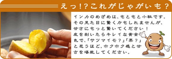 レンジでチンするだけ♪北海道十勝産【冷凍】インカのめざめ★調理済み★ | 日本全国各地のお取り寄せモール風土jp