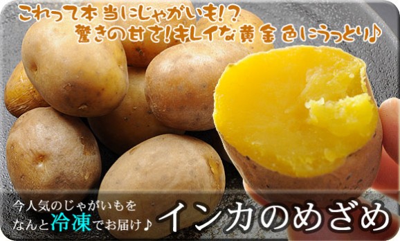 󥸤ǥ󤹤̳ƻۥ󥫤ΤᤶĴѤߡ  | ϤΤ󤻥⡼jp