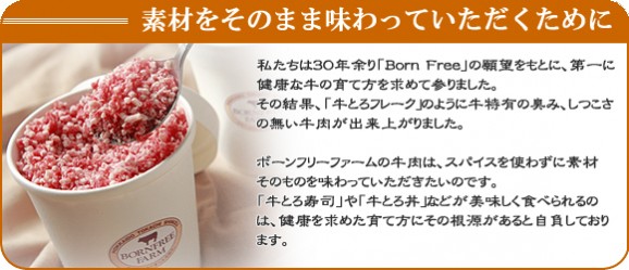 【送料無料】新・牛とろフレーク200g2カップセット■牛とろ丼のたれ×2箱付き | 日本全国各地のお取り寄せモール風土jp