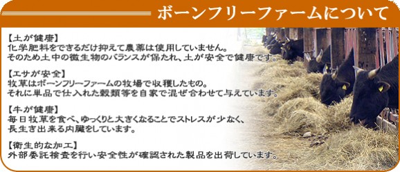 【送料無料】新・牛とろフレーク200g2カップセット■牛とろ丼のたれ×2箱付き | 日本全国各地のお取り寄せモール風土jp