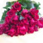 色お任せバラの花束20本