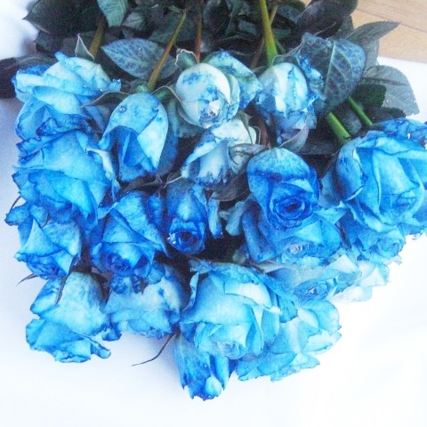 【送料無料】青いバラ10本の花束4,515円 | 日本全国各地の名産品やお土産のお取り寄せモール 風土jp