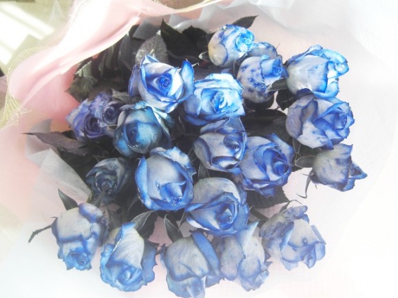【送料無料】青いバラ10本の花束4,515円 画像 | 日本全国各地の名産品やお土産のお取り寄せモール 風土jp