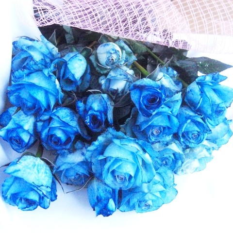 【送料無料】青いバラ10本の花束4,515円 画像 | 日本全国各地の名産品やお土産のお取り寄せモール 風土jp