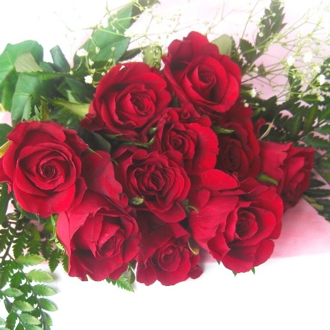 岡山県土産と岡山県特産品のお取り寄せ | 日本全国各地の名産品やお土産のお取り寄せモール 風土jp 情熱の赤いバラの花束3,500円