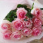 選べるバラの花束1本300円(1:ティネケ/2:ハロウィン/3:クレア/4:ミルバ/5:カンツオーネ)