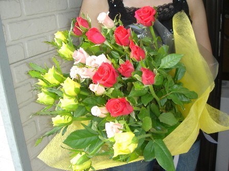 イセエビ | 日本全国各地の名産品やお土産のお取り寄せモール 風土jp 色お任せ30本のバラの花束