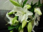 白のオリエンタル百合の花束３本