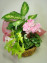 季節の花の寄せカゴアレンジ
