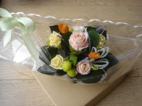 ��ȭ�����������ߥǥ�ե��� | ����������ϤΤ����󤻥⡼������jp