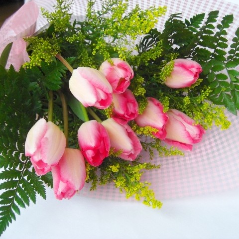 春の花ピンクのチューリップの花束 通販 お取り寄せ