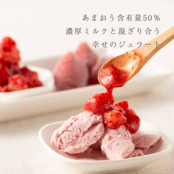 あまおう50% ミルクジェラート 1カップ(単品) | 日本全国各地のお取り寄せモール風土jp
