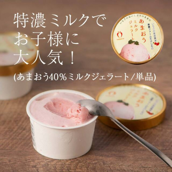 完熟あまおう40%ミルクジェラート 1カップ(単品) | 日本全国各地のお取り寄せモール風土jp