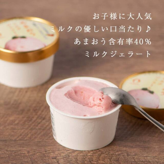 完熟あまおう40%ミルクジェラート 1カップ(単品) | 日本全国各地のお取り寄せモール風土jp