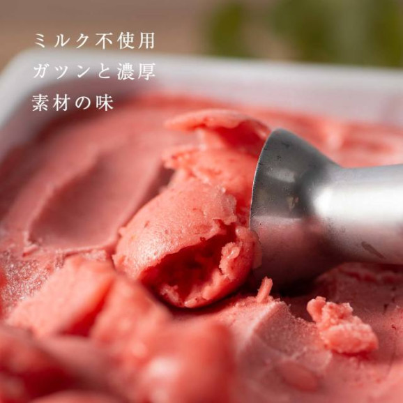 あまおう56%ジェラート 2L特大サイズ 画像 | 日本全国各地のお取り寄せモール風土jp