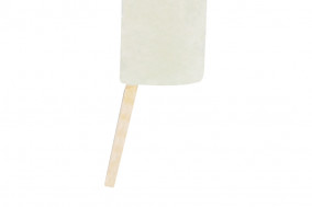 本くずゆず アイスキャンデー 北極アイス | 日本全国各地のお取り寄せモール風土jp