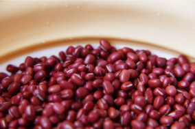 本くずゆず アイスキャンデー 北極アイス | 日本全国各地のお取り寄せモール風土jp