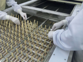 本くずゆず アイスキャンデー 北極アイス | 日本全国各地のお取り寄せモール風土jp