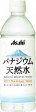�����ҡ��Хʥ�����ŷ����500ml��24��