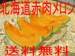 【数量限定・送料無料】北海道産赤肉メロン2玉【優〜秀】