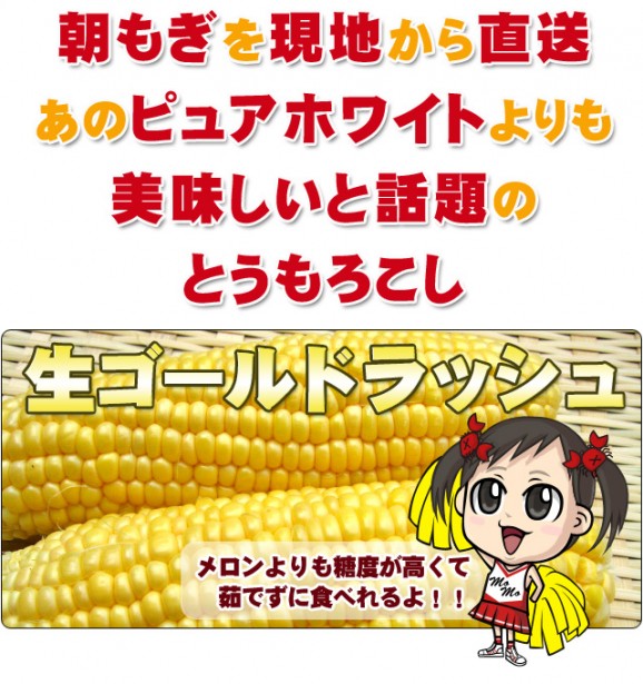 【先行予約販売】生ゴールドラッシュとうもろこし【北海道発】 | 日本全国各地のお取り寄せモール風土jp