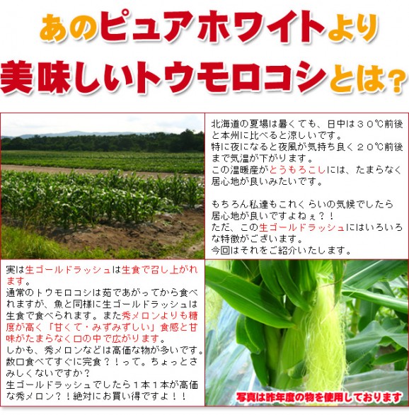 【先行予約販売】生ゴールドラッシュとうもろこし【北海道発】 | 日本全国各地のお取り寄せモール風土jp