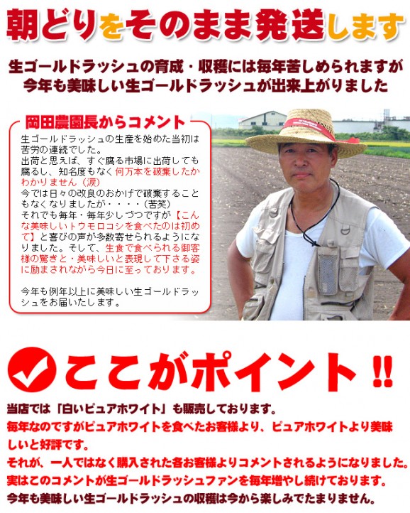 【先行予約販売】生ゴールドラッシュとうもろこし【北海道発】 | 日本全国各地のお取り寄せモール風土jp