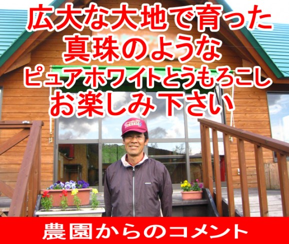 【北海道産】ピュアホワイトとうもろこし 10本 | 日本全国各地のお取り寄せモール風土jp