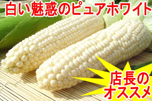 【北海道産】ピュアホワイトとうもろこし 10本 | 日本全国各地のお取り寄せモール風土jp