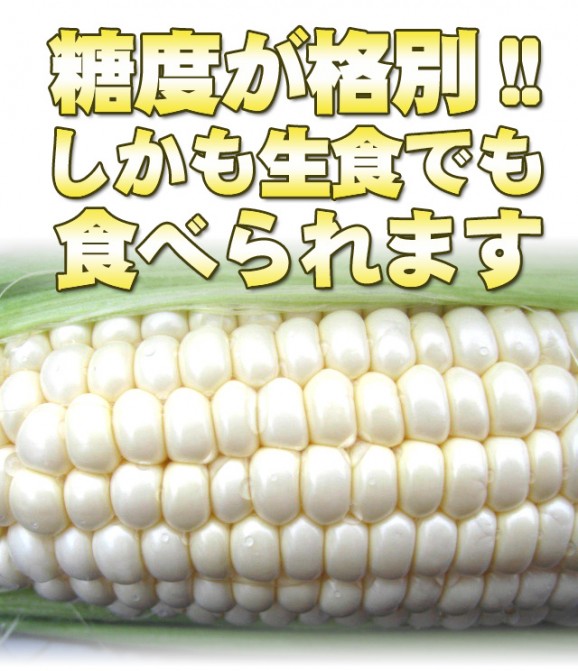 【北海道産】ピュアホワイトとうもろこし 10本 | 日本全国各地のお取り寄せモール風土jp