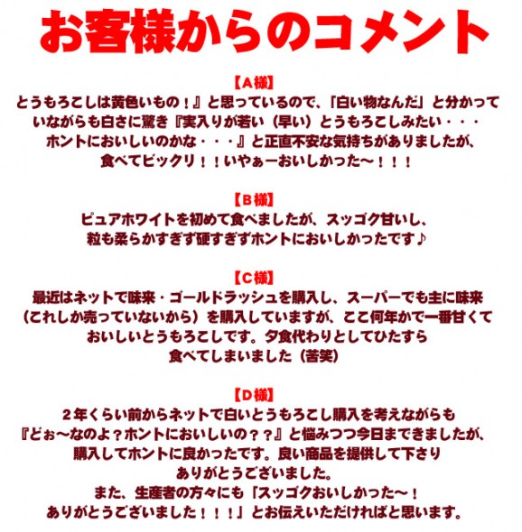 【北海道産】ピュアホワイトとうもろこし 10本 | 日本全国各地のお取り寄せモール風土jp