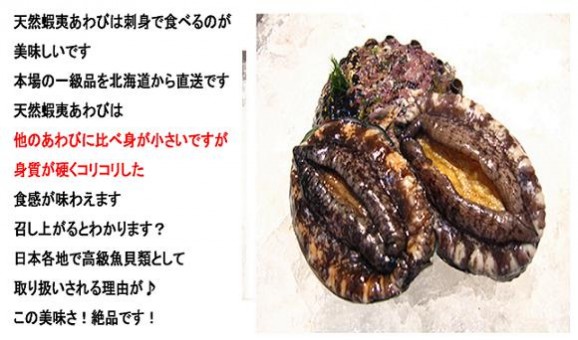天然蝦夷あわび 5個 【小サイズ】約250g〜約325g | 日本全国各地のお取り寄せモール風土jp
