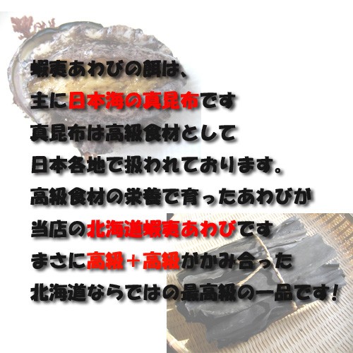天然蝦夷あわび 5個 【小サイズ】約250g〜約325g | 日本全国各地のお取り寄せモール風土jp