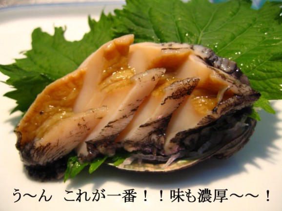 天然蝦夷あわび 5個 【小サイズ】約250g〜約325g | 日本全国各地のお取り寄せモール風土jp