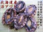 天然蝦夷あわび