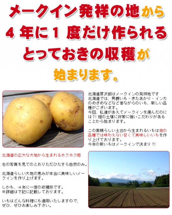 ジャガイモ　メークイン　訳あり　12 Amazon.co.jp: 訳あり じゃがいも じゃがいも メークイン ポテト