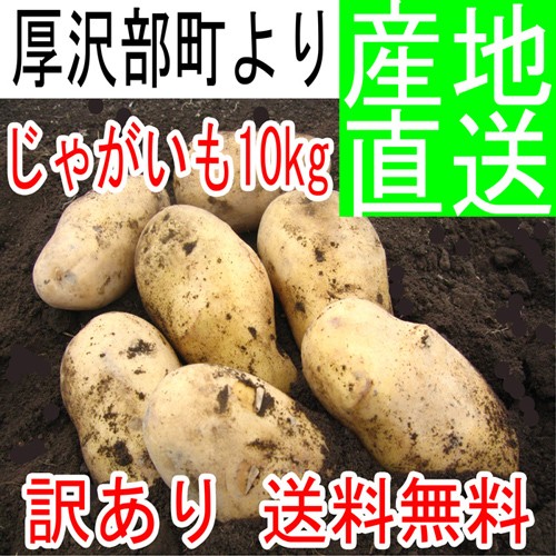 送料無料】訳あり・わけありメークイン 10kg【北海道発】 日本