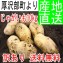 ��2012ǯ���νв١ۡ�����̵����37%OFF�������ꡦ�櫓����᡼�����󣱣��������̳�ƻȯ�ۡ�