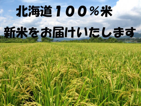 【送料無料】北海道100%米10キロ【3種類のお米達】 | 日本全国各地のお取り寄せモール風土jp